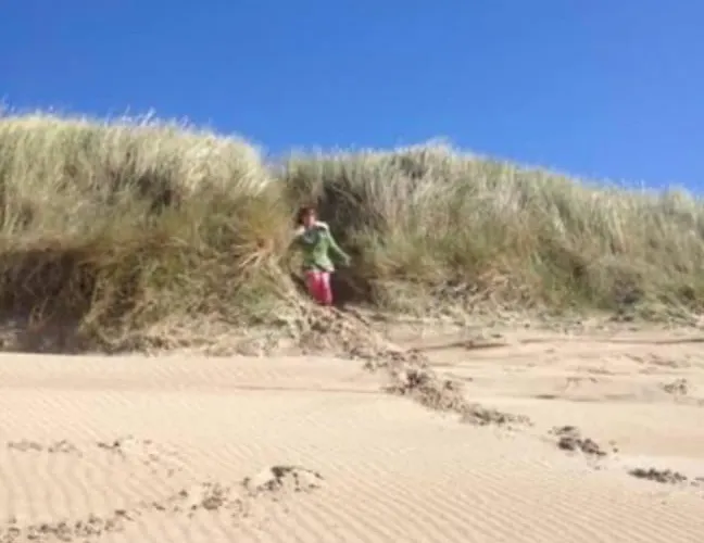 Free Standing 25 Min Amsterdam 10 Min Villa